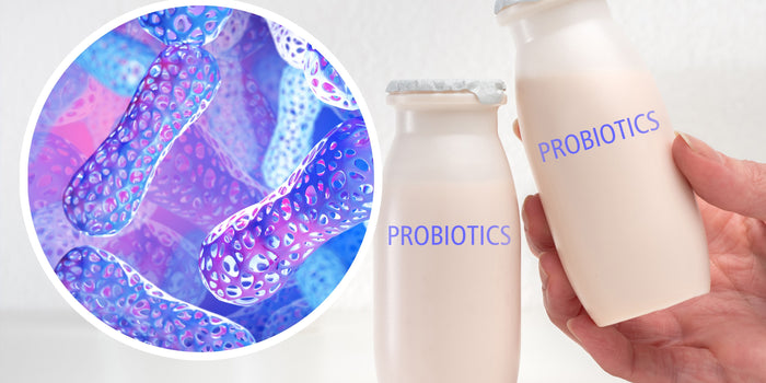 Prebiotica En Probiotica, Wat Is Het Verschil?